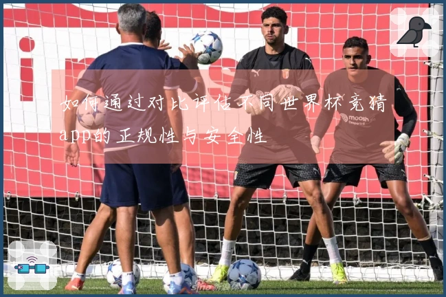 如何通过对比评估不同世界杯竞猜app的正规性与安全性