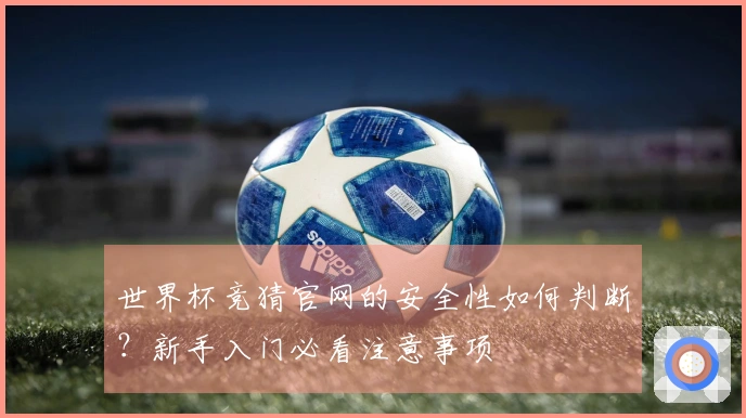 世界杯竞猜官网的安全性如何判断?新手入门必看注意事项