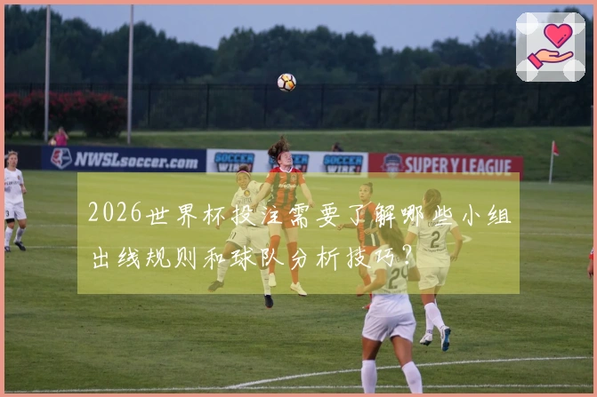 2026世界杯投注需要了解哪些小组出线规则和球队分析技巧？