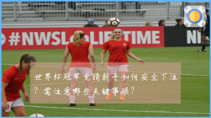 世界杯冠军竞猜新手如何安全下注?需注意哪些关键事项?