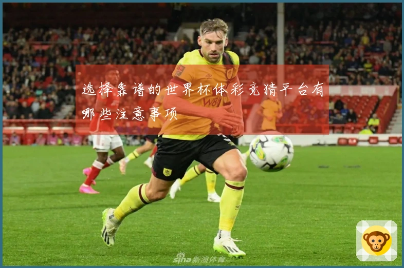 选择靠谱的世界杯体彩竞猜平台有哪些注意事项