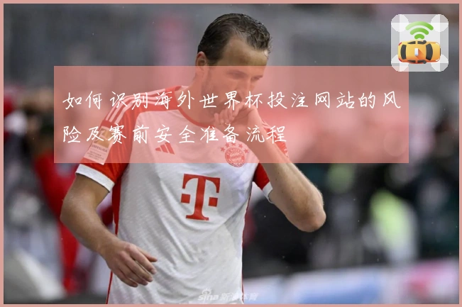 如何识别海外世界杯投注网站的风险及赛前安全准备流程