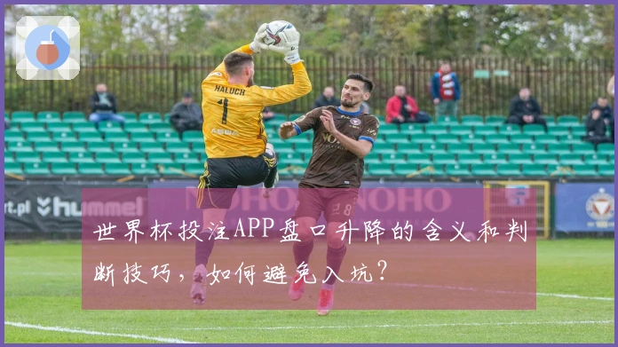 世界杯投注APP盘口升降的含义和判断技巧,如何避免入坑?