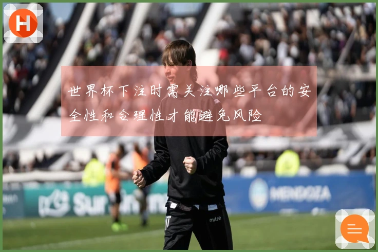 世界杯下注时需关注哪些平台的安全性和合理性才能避免风险