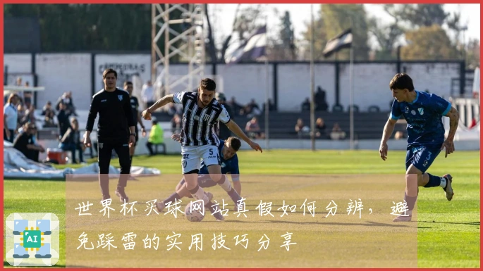 世界杯买球网站真假如何分辨,避免踩雷的实用技巧分享