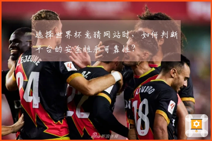 选择世界杯竞猜网站时，如何判断平台的安全性和可靠性？