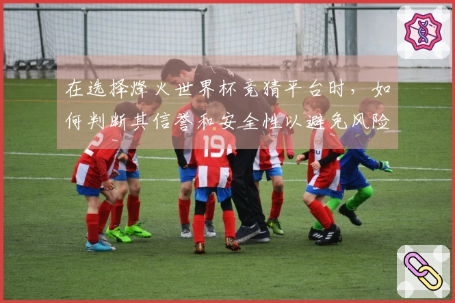 在选择烽火世界杯竞猜平台时，如何判断其信誉和安全性以避免风险？