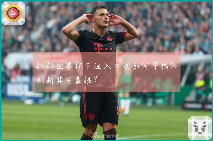 2026世界杯下注入口该如何寻找和判断其可靠性？