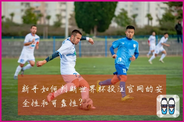 新手如何判断世界杯投注官网的安全性和可靠性？