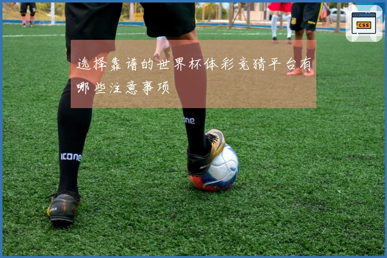 选择靠谱的世界杯体彩竞猜平台有哪些注意事项