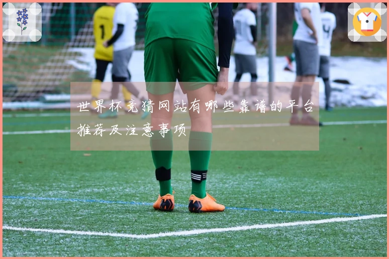 世界杯竞猜网站有哪些靠谱的平台推荐及注意事项