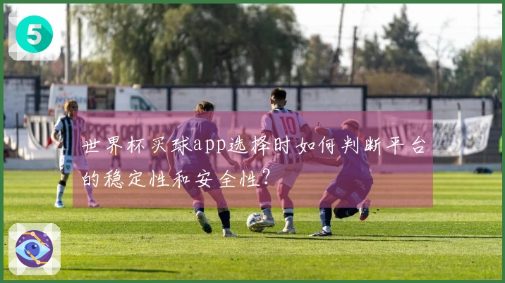 世界杯买球app选择时如何判断平台的稳定性和安全性？