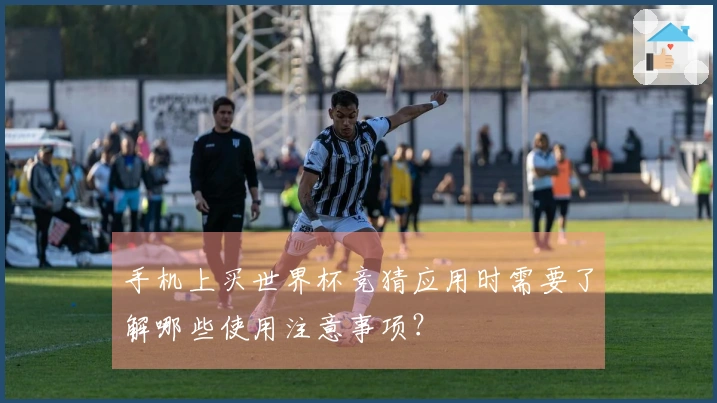 手机上买世界杯竞猜应用时需要了解哪些使用注意事项?
