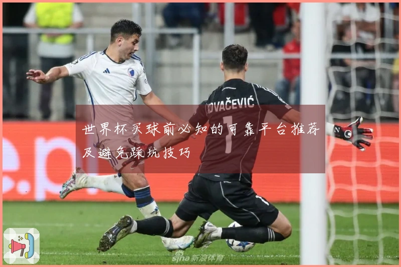 世界杯买球前必知的可靠平台推荐及避免踩坑技巧