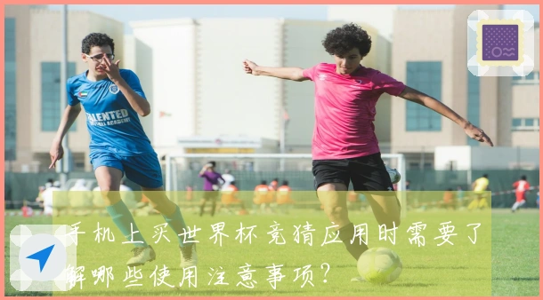手机上买世界杯竞猜应用时需要了解哪些使用注意事项？