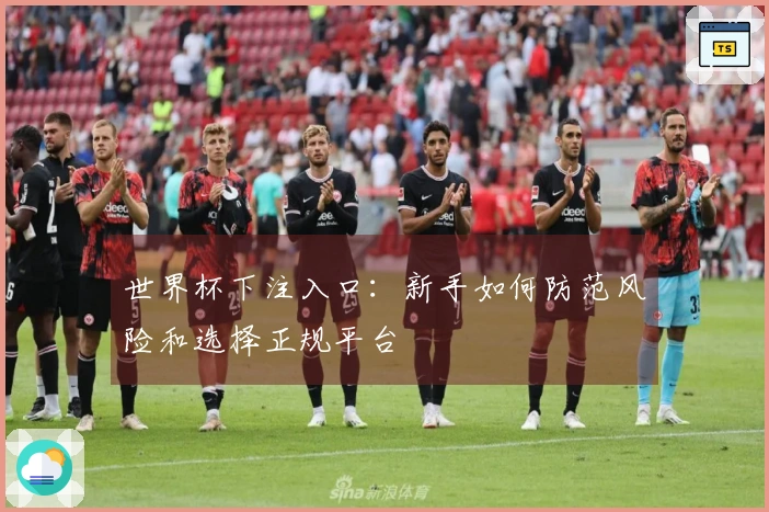 世界杯下注入口：新手如何防范风险和选择正规平台