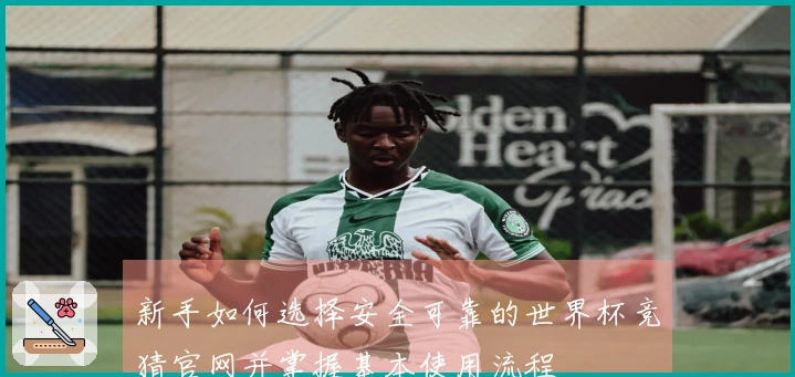 新手如何选择安全可靠的世界杯竞猜官网并掌握基本使用流程
