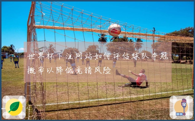 世界杯下注网站如何评估球队夺冠概率以降低竞猜风险