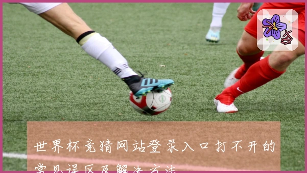 世界杯竞猜网站登录入口打不开的常见误区及解决方法