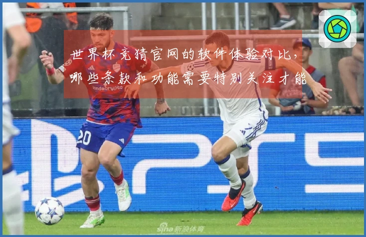 世界杯竞猜官网的软件体验对比,哪些条款和功能需要特别关注才能避免踩坑?