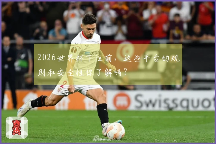2026世界杯下注前，这些平台的规则和安全性你了解吗？