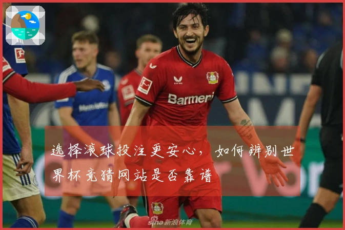 选择滚球投注更安心，如何辨别世界杯竞猜网站是否靠谱