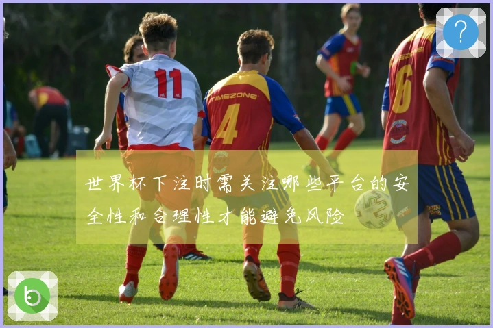 世界杯下注时需关注哪些平台的安全性和合理性才能避免风险