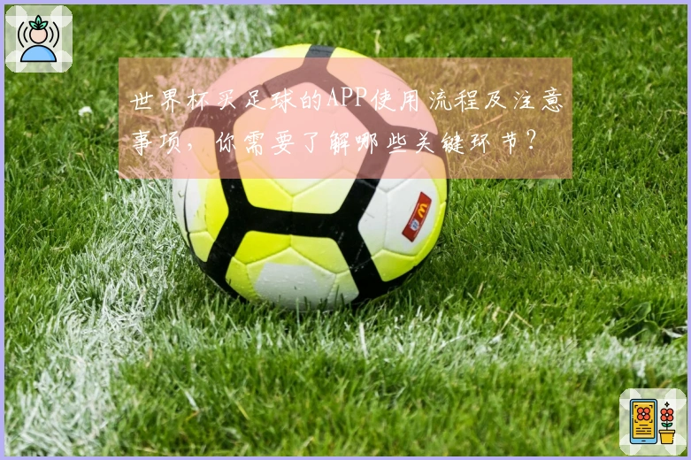 世界杯买足球的APP使用流程及注意事项，你需要了解哪些关键环节？