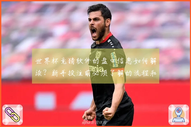 世界杯竞猜软件的盘口信息如何解读?新手投注前必须了解的流程和注意事项