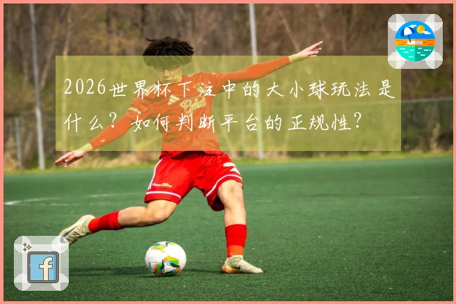 2026世界杯下注中的大小球玩法是什么？如何判断平台的正规性？