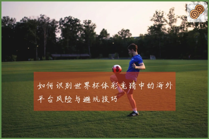 如何识别世界杯体彩竞猜中的海外平台风险与避坑技巧