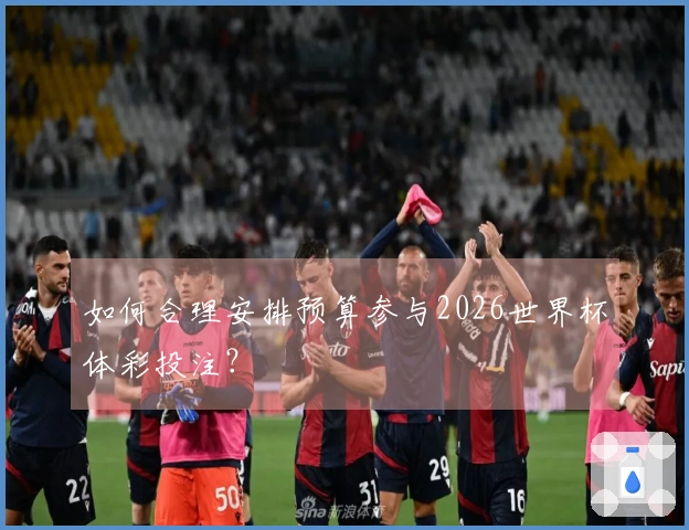 如何合理安排预算参与2026世界杯体彩投注？