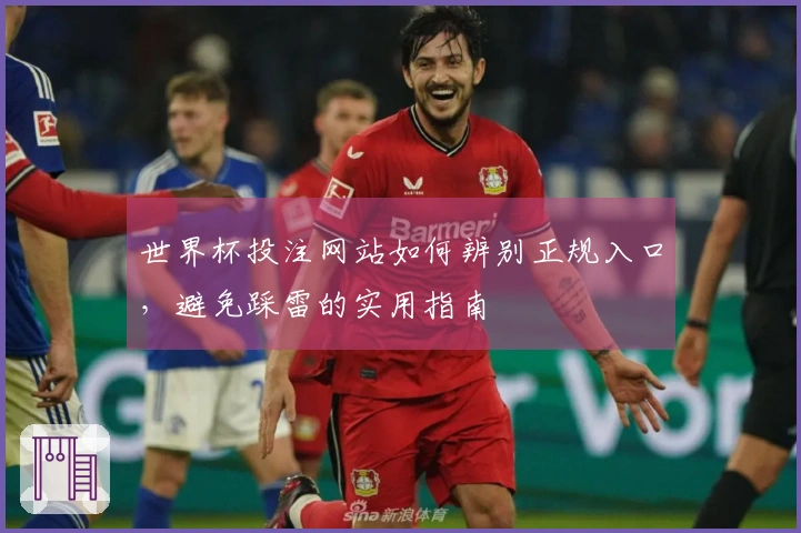 世界杯投注网站如何辨别正规入口，避免踩雷的实用指南