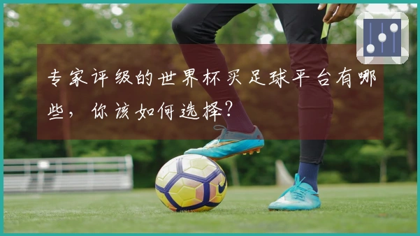 专家评级的世界杯买足球平台有哪些，你该如何选择？