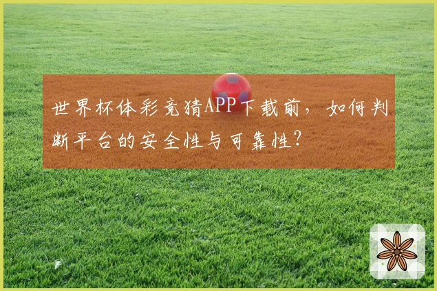 世界杯体彩竞猜APP下载前，如何判断平台的安全性与可靠性？