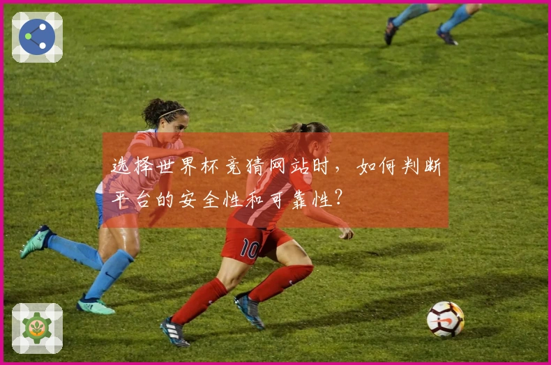 选择世界杯竞猜网站时，如何判断平台的安全性和可靠性？