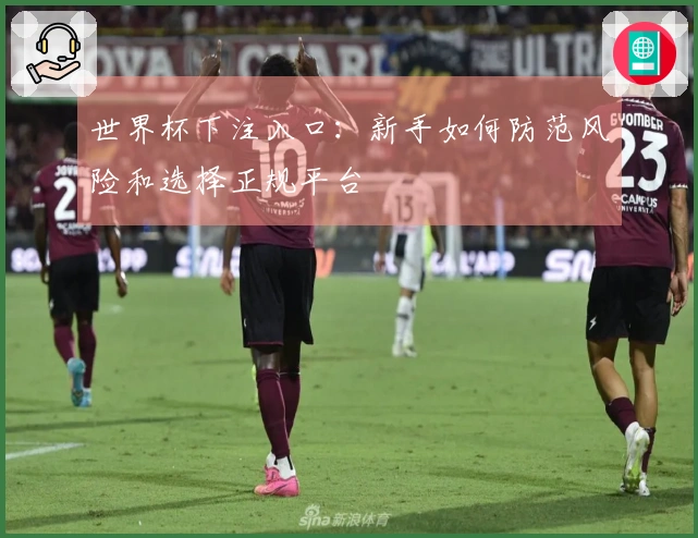 世界杯下注入口：新手如何防范风险和选择正规平台